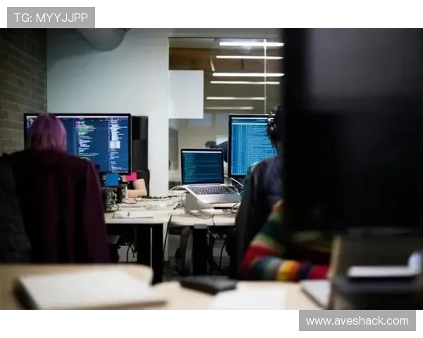 百家乐网站安全风险防范指南帮助玩家识别潜在的安全隐患与应对措施